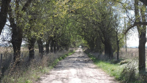 Imagen 6 de 16 de 360 Has Campo Mixto En Venta, Magdalena. Ex Tambo 80 % Agrícola.