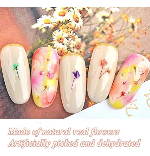 Teoyall 24 Colores De Flores Secas Para Arte De Uñas, 2