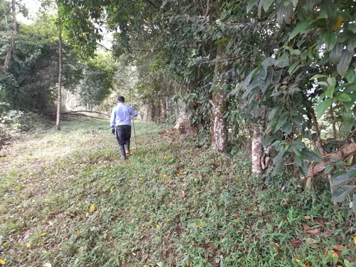 Finca Viotá Vereda Calandaima