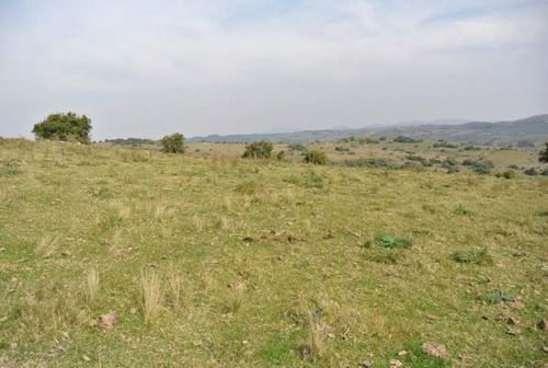 Mieres Vende Campo , Maldonado. Fracción De 41,5 Hectáreas