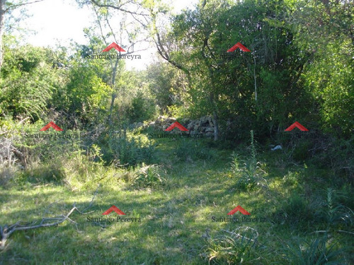 Imagen 11 de 18 de Campo 96 Has En Carape Cuenta Con Costa De Arroyo.