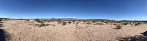 Venta Campo En Poman - Catamarca 7800ha