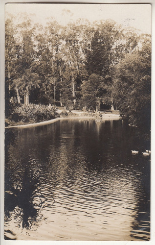 Antigua Postal Vista Del Lago Del Prado Montevideo Vintage