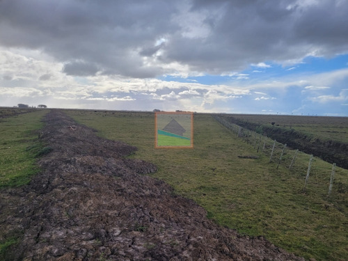 Imagen 5 de 30 de 532 Hectáreas Agrícolas Ganaderas Rocha