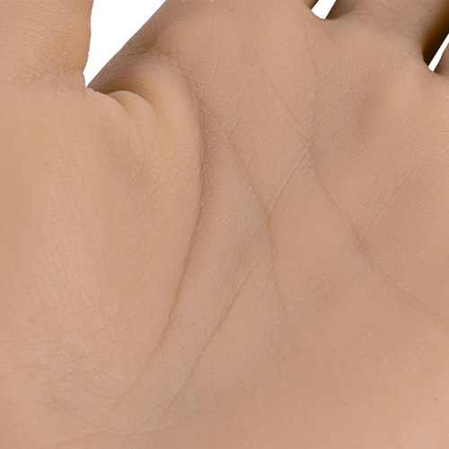 Mano De Práctica De Uñas Para Uñas Acrílicas La E Se Fue