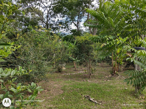 Chácara - Em Pedro De Toledo-sp, Sua Melhor Opção - Ref 572