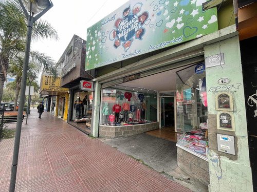 Imagen 10 de 26 de Venta 6 Locales + Planta Alta / Lote 840m2 Constitución