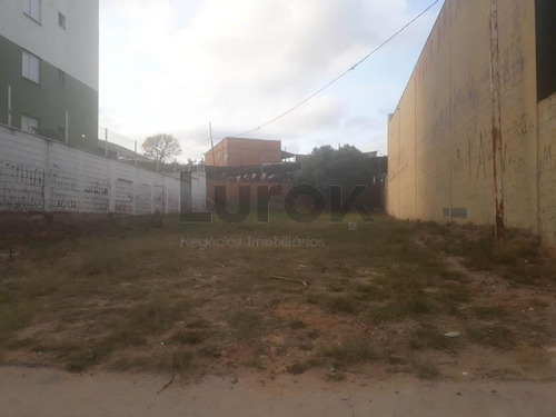 Imagem 3 de 4 de Terreno À Venda Em Cidade Satélite Íris - Te001701