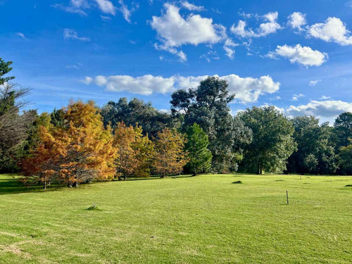 Venta Terreno Punta Ballena Vilaverde