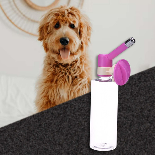 Alimentador De Agua Para Mascotas Pequeñas Sin Rosado