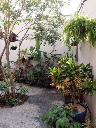 Imagem 14 de 14 de Casa Com 3 Dormitórios À Venda, 225 M² - Ca1227