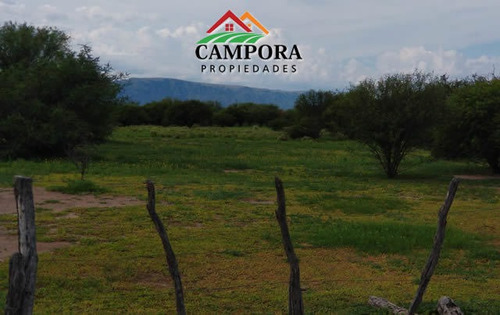 Imagen 2 de 10 de Campo A La Venta Ganadero En San Luis