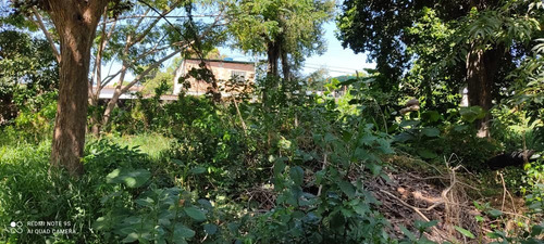 Imagen 6 de 11 de Venta Terreno En Centro De Palo Negro Ocumarito Edo Aragua.
