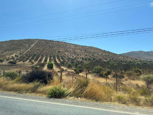 Lote C Sur 193has + Derechos De Aprovechamientode Aguas