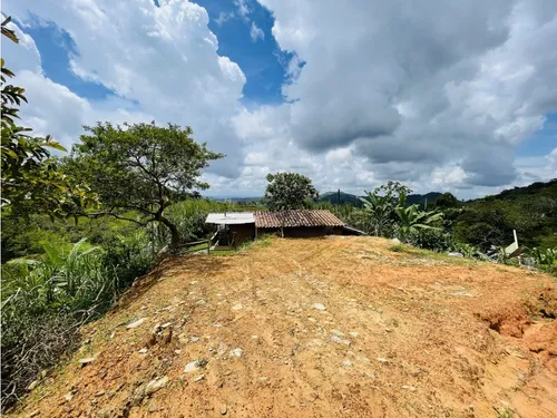Se Vende Finca De 7 Hectáreas En San Roque, Antioquia