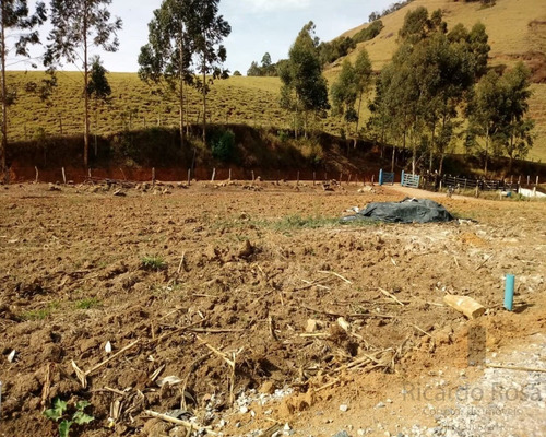 Imagem 9 de 10 de Vendo Chácara Excelente Em Maria Da Fé, Sul De Minas, Clima Da Serra Da Mantiqueira, Mais De 1500 M² Por R$ 65 Mil. - Ch00004 - 34560005