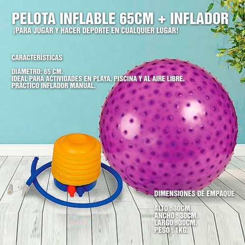 Pelota 65cm + Inflador