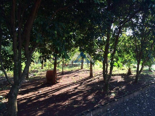 Chácara Com 3 Dormitórios À Venda, 5300 M² Por R$ 620.000,00 - Chácara Jabur - Sertaneja/pr - Ch0129