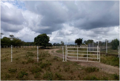 Imagen 5 de 8 de Se Vende Finca Vía Caripito, Sector Tropical Ve02-500vc-lm