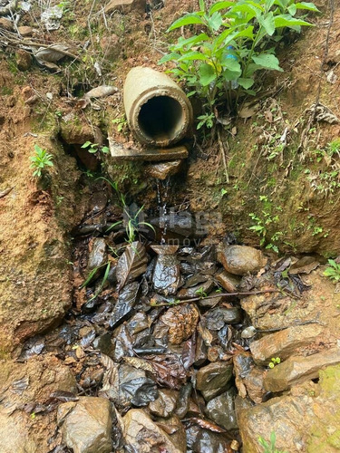Imagem 17 de 17 de Chácara À Venda No Bairro Moura - Canelinha/sc - 2171c