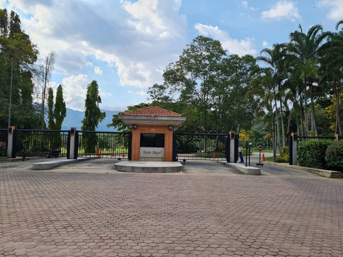 Imagen 7 de 9 de Johanna Castillo Vende 04145951217 Terreno En Hato Royal