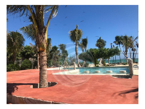 Imagen 4 de 13 de Terreno En Venta En Isla Blanca