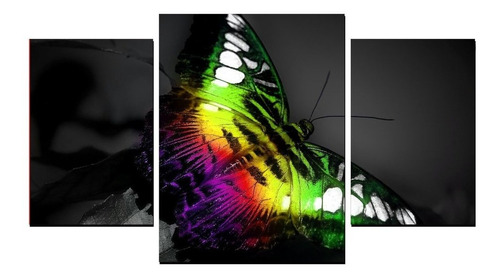 Cuadros Tripticos Modernos Animales Mariposas