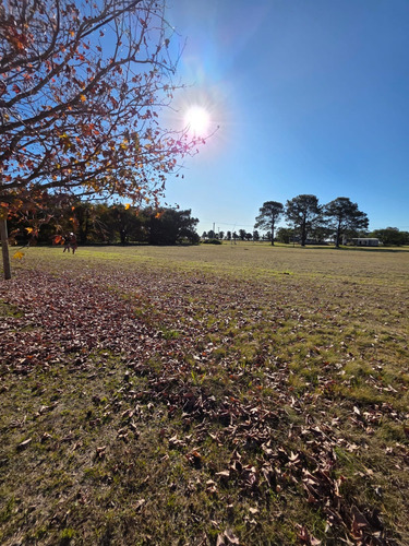 Terreno En Venta En Country Los Molinos