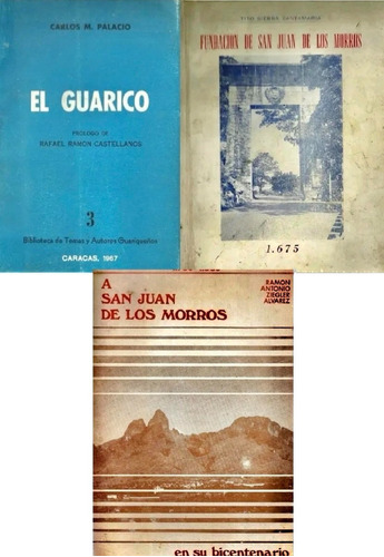 Fundacion De San Juan De Los Morros Guarico Genealogia Lote