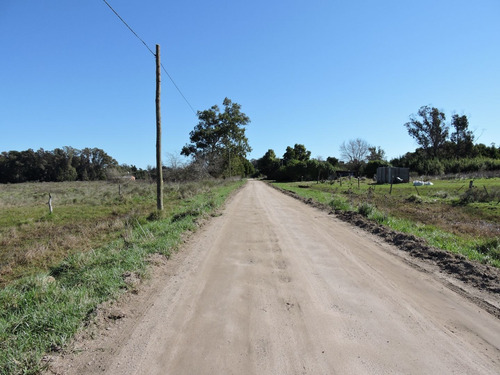 Imagen 4 de 7 de 1,6 Hectareas En Veronica, Punta Indio