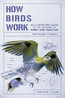 Imagen 1 de 2 de Libro How Birds Work : An Illustrated Guide To The Wonder...