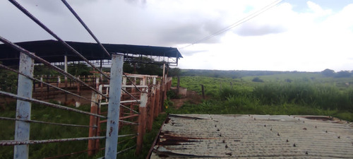 En Venta Finca En Aragua De Barcelona Estado Anzoategui