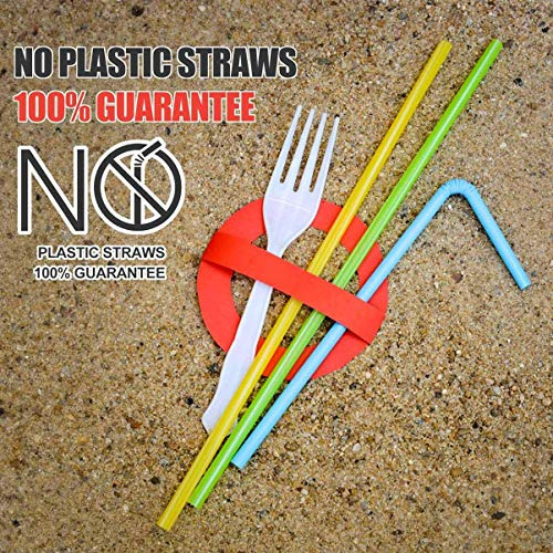 200 Count 100% Plant-based Wrapped Compostable Straws ...