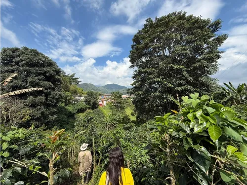 Se Vende Lote Vereda San Juan De Carolina