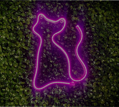 Luminária Parede Gato Led Neon Decoração Petshop Bivolt