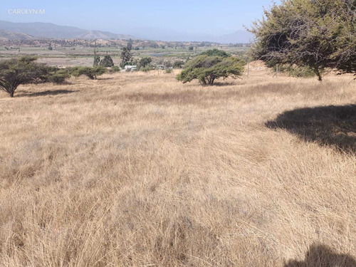 Terreno A Orilla De Carretera En Tabolango (96812)