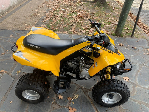 Imagen 12 de 12 de Can Am Ds 250