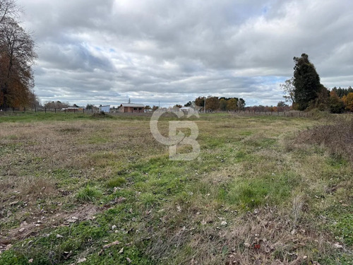 Parcelas 5.000 M² Cerca De Osorno