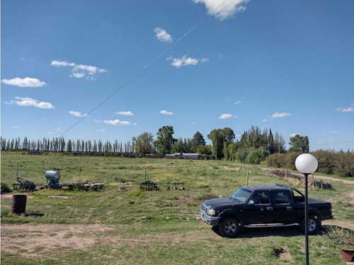 Vendo Finca De 20 Hectareas A Tranquera Cerrada San Rafael