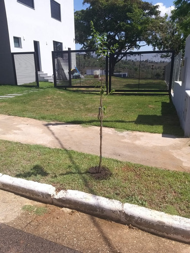 Compre O Sítio Dos Seus Sonhos! Excelente Oportunidade!