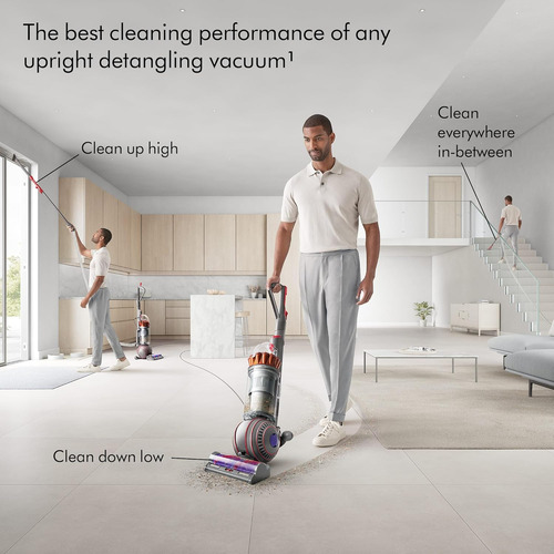 Dyson Aspiradora Vertical Extra Ball Animal 3