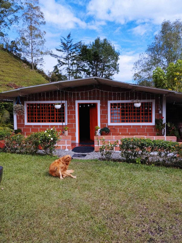Imagen 1 de 9 de Venta De Finca En Guarne