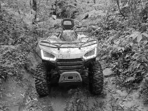 Imagem 3 de 6 de Segway Snarler 570 Quadriciclo Honda Trx 420 Fortrax 4x4 4x2