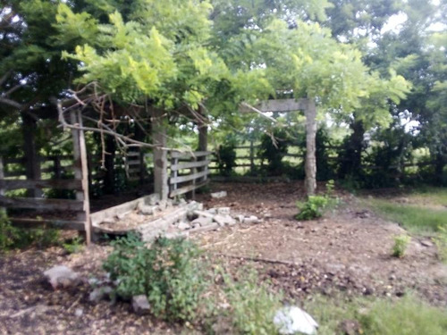 Venta Rancho Ganadero 100 Hectáreas Tamiahua Veracruz