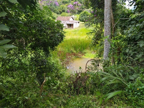 Imagem 4 de 12 de Grande Fazenda Com 2.5 Milhões De Área Total - Fa00020 - 69353189