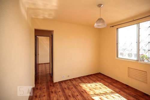 Apartamento Para Aluguel - Quintino Bocaiúva, 1 Quarto, 45 - 893279443