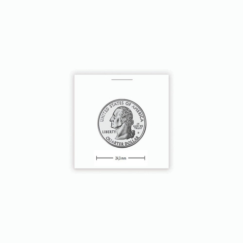 Imagen 4 de 6 de Oferta 20 Hojas Protectoras Monedas + 400 Cartones Bcw