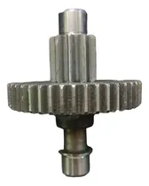 Comprar Engranaje Motor Portón Levadizo Seg Z44 Z10 Bravo Tork