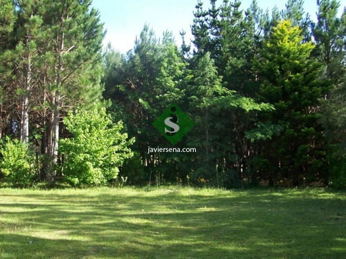Venta De Chacra En San Carlos, 5 Hectareas, Con Arroyo, Arbolados, Sobre Ruta, Para Fraccionar.- Ref: 167767
