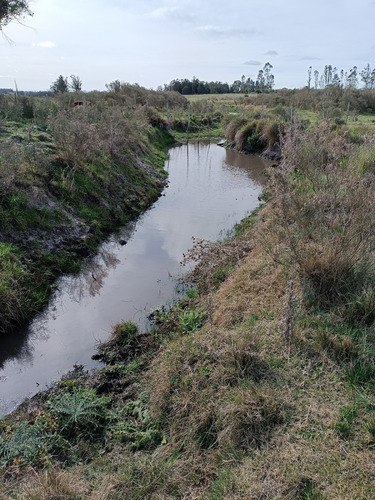 Vendo Chacra Con Cabaña De Madera, Cañada, A 30 Km De Montevideo